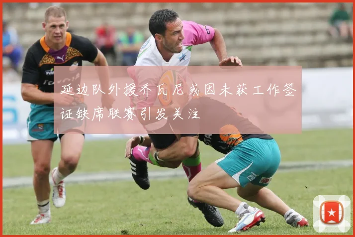 延边队外援乔瓦尼或因未获工作签证缺席联赛引发关注