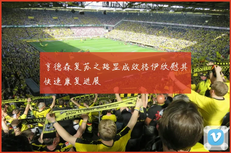 亨德森复苏之路显成效格伊欣慰其快速康复进展