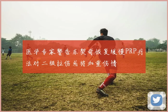 医学专家警告东契奇恢复缓慢PRP疗法对二级拉伤或将加重伤情
